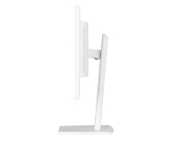 IIYAMA ProLite XUB2497HSU-W2 - 1284775 - zdjęcie 8